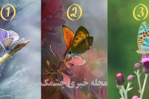 تست شخصیت شناسی | یک پروانه انتخاب کن تا بگم واسه خودت ارزش قائلی یا زندگیتو وقف دیگران میکنی