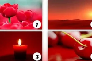 تست شخصیت شناسی | این تست تمام ویژگی های اخلاقی شما در رابطه عاشقانه را فاش میکند