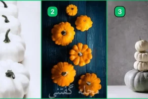 تست شخصیت شناسی | آدم منطقی ای هستی یا احساساتی عمل میکنی؟ یک کدوتنبل انتخاب کن
