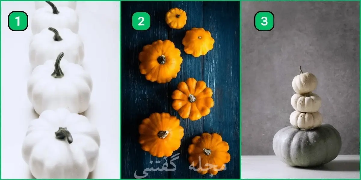 تست شخصیت شناسی | آدم منطقی ای هستی یا احساساتی عمل میکنی؟ یک کدوتنبل انتخاب کن