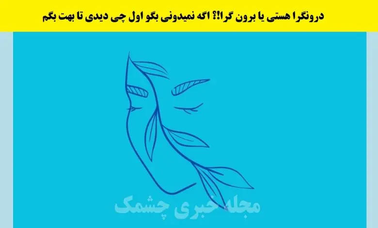 تست شخصیت شناسی | هنوز نمیدونی درونگرایی یا برونگرا؟ این تست رو انجام بده صد در صد مطمئن شو کدومشی