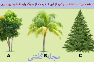 تست شخصیت شناسی | یک درخت انتخاب کن تا از اخلاقای خوبت پرده برداری کنم