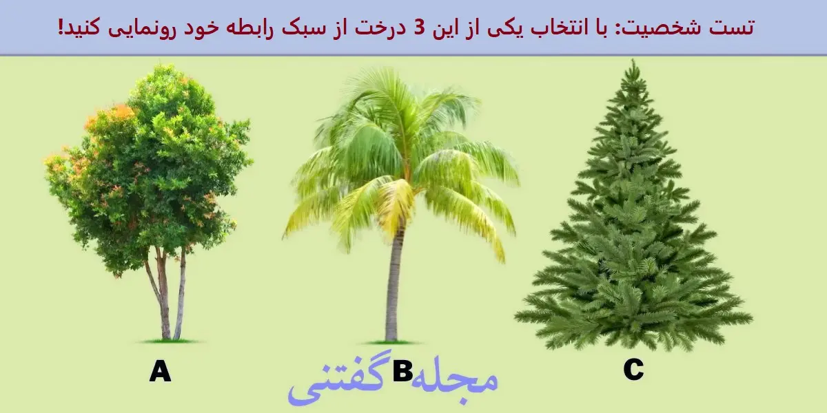تست شخصیت شناسی | یک درخت انتخاب کن تا از اخلاقای خوبت پرده برداری کنم