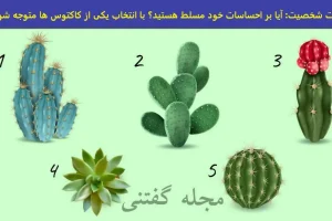 تست شخصیت شناسی | چقدر میتونی احساسات رو کنترل کنی؟ یک کاکتوس انتخاب کن