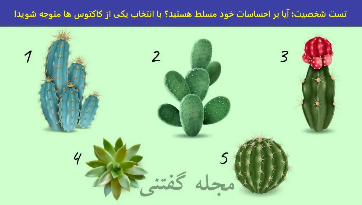 تست شخصیت شناسی | چقدر میتونی احساسات رو کنترل کنی؟ یک کاکتوس انتخاب کن