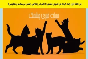 تست شخصیت شناسی | بگو تو نگاه اول چندتا گربه دیدی تا بگم زندگیت چقدر سخت بوده و تو چقدر محکم بودی