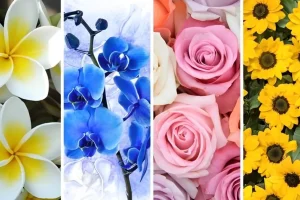 تست شخصیت شناسی | یک گل انتخاب تا بگم چه رازهای زیبایی داری