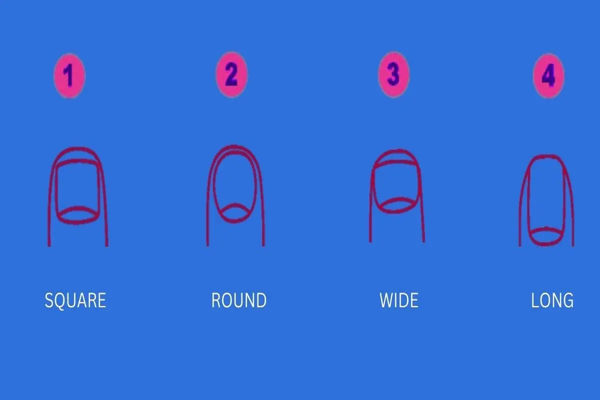 تست شخصیت شناسی | شکل ناخن اطرافیانت بیشتر اونیکه فکر کنی رازهاشونو لو میده