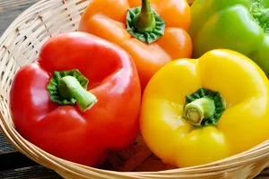یه عمر اشتباه فلفل دلمه ای و خرد میکردی | بیا اینجا تا یادبگیری فلفل و درست خرد کنی + ویدیو آموزشی