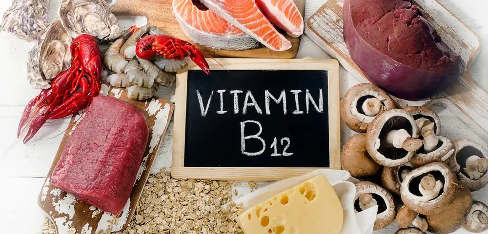 مواد غذایی گیاهی غنی از ویتامین B۱۲ را بشناسید