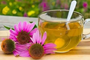 این مواد غذایی مثل آنتی بیوتیک طبیعی عمل می کنند