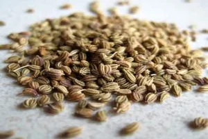 با این دانه ضد نفخ از سفید شدن مو جلوگیری می کند