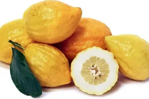 این میوه کبد ، معده و صفرا را پاکسازی می کند