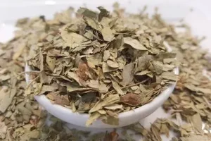 با مصرف این گیاه ارزان قیمت یک دستگاه گوارش دسته اول تحویل بگیر | حل همه مشکلات گوارشی با یک گیاه!!!