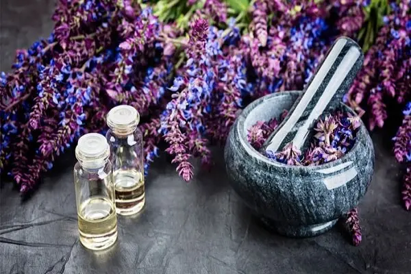 گل خوشرنگی که دمکرده آن برای رهایی از اضطراب و افسردگی عالی است