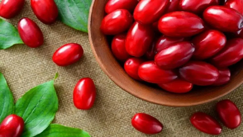 گران ترین داروهای خارجی برای عفونت مجاری ادراری و سنگ کلیه و کلسترول بالا از این میوه ایرانی تولید می شود
