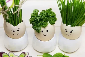 میخوای سبزه عیدت زودتر رشد کنه؟ این دانه رو بکار | سبزه عید رو چه زمانی بکاریم؟
