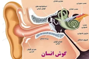درمان قطعی و ساده سنگینی گوش ها در خانه | 100 سال به آسانی گوش شنوا داشته باشید