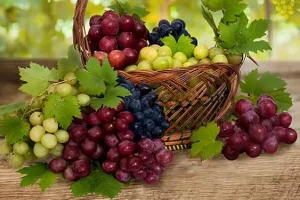 خداوند یک پیامبر افسرده خود را با این روش ساده درمان کرد