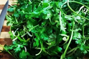 یک گیاه دم دستی و اینهمه خاصیت؟ | تقویت قوای جنسی، افزایش شیر مادران، پودر کننده سنگ کلیه و از بین بردن عفونت های ناشی از سرماخوردگی