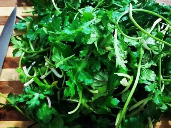 یک گیاه دم دستی و اینهمه خاصیت؟ | تقویت قوای جنسی، افزایش شیر مادران، پودر کننده سنگ کلیه و از بین بردن عفونت های ناشی از سرماخوردگی