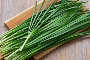 مصرف این سبزی در صبحانه سردی و سموم و کم خونی را درمان می کند + بهبود ناراحتی کبد و زخم های کثیف و چرک دار
