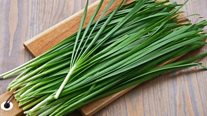 مصرف این سبزی در صبحانه سردی و سموم و کم خونی را درمان می کند + بهبود ناراحتی کبد و زخم های کثیف و چرک دار