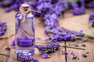 تسکین درد، بهبود دردهای میگرنی، تهویه هوا و مراقبت از موی سر با این گیاه
