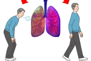 این سبزی ها یک ریه صفر به شما تحویل می دهند