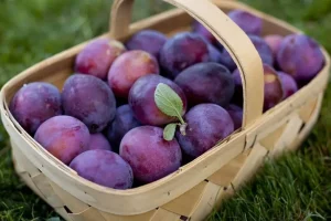 میوه‌ای که نجات‌دهنده روده است