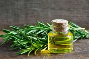 اگر از صبح ناشتا تا غذای ظهر و شام این گیاه را مصرف کنید تا 120 سالگی بیمار نمی شوید