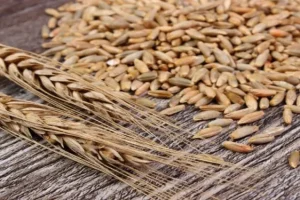 قند خون، فشار خون و چربی خون تان را با این دانه تنظیم کنید
