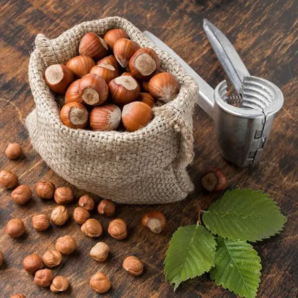 با یبوست، مشکلات قلبی، استرس و افسردگی با مصرف این دانه خداحافظی کنید