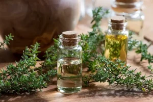 گیاه پادشاهی که قاتل مستقیم افسردگی ، عصبانیت ، فشار خون و چربی خون و بی خوابی است