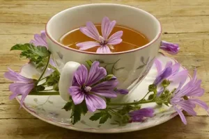 این گیاه درمان کننده التهاب کلیه، مثانه و ورم روده