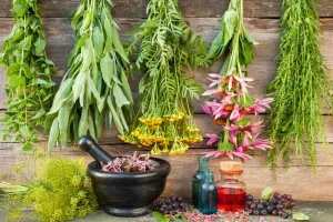 برای هر دردی کدوم گیاه حکم مسکن و داره؟