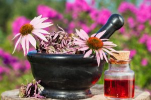 این گیاه ضد اسپاسم معده، ضد تبخال و ضد عفونت لثه است!