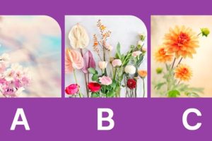 تست شخصیت شناسی | آدم بی حوصله ای یا خیلی صبوری؟ یک گل انتخاب کن