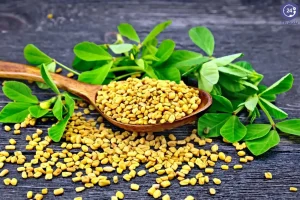با 2 گرم از پودر این گیاه کنار غذا یکجا بیماری های قند خون و فشار خون و چربی بالای 500 را درمان کنید