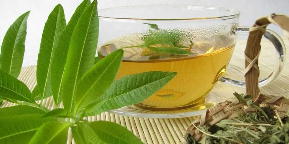 با این دمنوش دور غم و غصه رو خط بکشید | چند دمنوش بهشتی و معجزه آسا شادی آور + معرفی و طرز تهیه