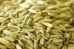 این گیاه صرفاً برای رفع مشکلات زنان و بهبود عملکرد رحم، تخمدان است