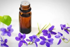 این روغن گیاهی تمام تومورهای مغزی و کل بدن را از بین می برد