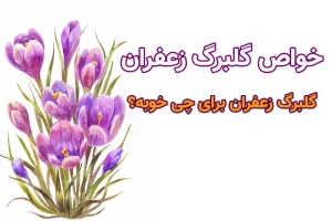 تقویت حافظه و آرامش ذهن، تقویت قلب و لاغری بدون بازگشت فقط با برگ این گیاه