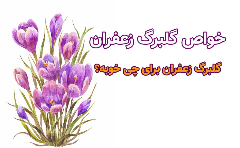 تقویت حافظه و آرامش ذهن، تقویت قلب و لاغری بدون بازگشت فقط با برگ این گیاه
