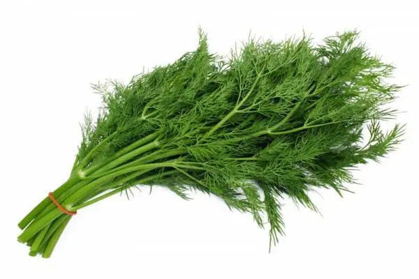 تولید انسولین برای کنترل قند خون را به این سبزی پادشاه بسپارید
