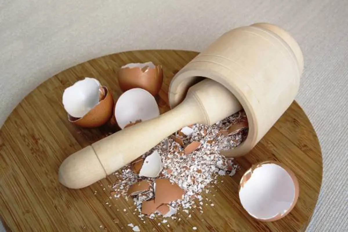 معجزه پوست تخم مرغ برای دندون ها و موهاتون | کاربردهای بیشمار پوست تخم مرغ در خونه زندگی و زیبایی که نمیدونی