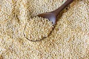 جایگزین ارزان قیمت گوشت این گیاه است | مواد مغذی این گیاه چند برابر گوشت می باشد + خواص درمانی