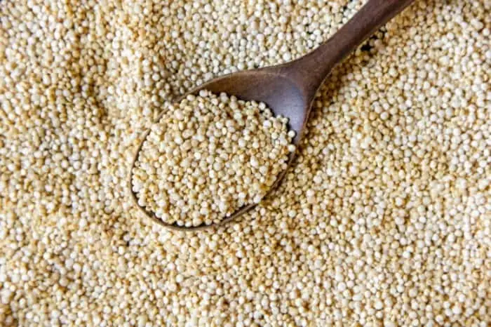 جایگزین ارزان قیمت گوشت این گیاه است | مواد مغذی این گیاه چند برابر گوشت می باشد + خواص درمانی