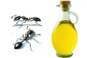 موهای زائدتو به این روغن ارزان قیمت بسپار | این روغن کار و کاسبی مراکز لیزر و اپیلاسیون رو کساد کرده