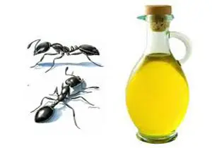 موهای زائدتو به این روغن ارزان قیمت بسپار | این روغن کار و کاسبی مراکز لیزر و اپیلاسیون رو کساد کرده